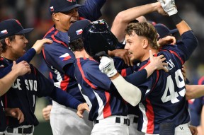  金雕捕食狼的视频 